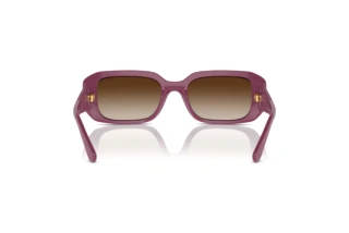 Achteraanzicht Vogue Eyewear VO5565S (312313)