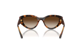 Achteraanzicht Vogue Eyewear VO5566S (W65613)