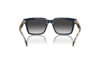 Achteraanzicht Vogue Eyewear VO5573S (31438G)