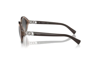 Zijaanzicht Vogue Eyewear VO5576SB (294011)