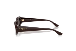 Zijaanzicht Vogue Eyewear VO5582S (225287)