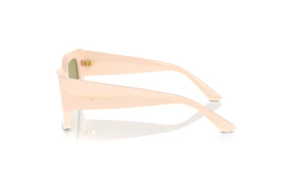 Zijaanzicht Vogue Eyewear VO5583S (316482)