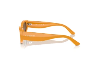 Zijaanzicht Vogue Eyewear VO5585S (315973)
