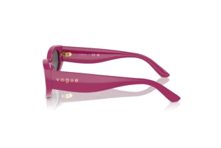 Zijaanzicht Vogue Eyewear VO5585S (316087)
