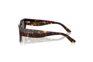 Zijaanzicht Vogue Eyewear VO5586S (W65681)