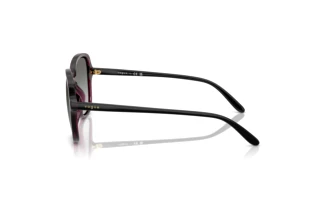 Zijaanzicht Vogue Eyewear VO5601S (298911)