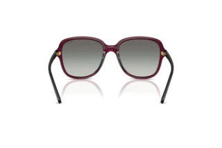 Achteraanzicht Vogue Eyewear VO5601S (298911)