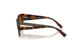 Zijaanzicht Vogue Eyewear VO5607S (271883)