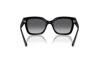 Achteraanzicht Vogue Eyewear VO5613SB (W44/T3)