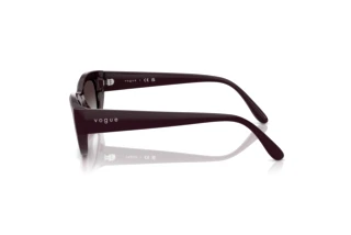Zijaanzicht Vogue Eyewear VO5616S (24268G)