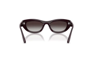 Achteraanzicht Vogue Eyewear VO5616S (24268G)