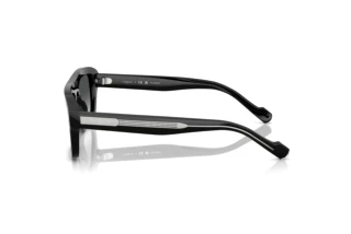 Zijaanzicht Vogue Eyewear VO5620S (W44/T3)
