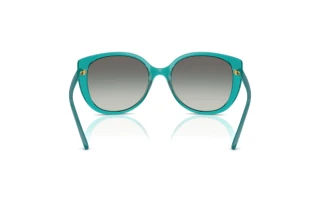 Achteraanzicht Vogue Eyewear VO5623S (319111)