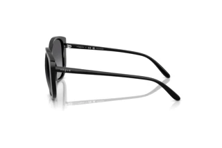 Zijaanzicht Vogue Eyewear VO5623S (W44/T3)