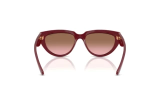 Achteraanzicht Vogue Eyewear VO5629S (304814)