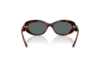 Achteraanzicht Vogue Eyewear VO5630S (W65681)