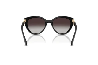 Achteraanzicht Vogue Eyewear VO5634SB (W44/8G)