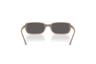 Achteraanzicht Vogue Eyewear VO5666S (326187)
