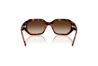 Achteraanzicht Vogue Eyewear VO5675S (W65613)