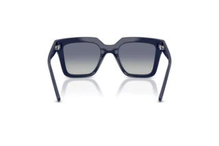 Achteraanzicht Vogue Eyewear VO5690S (22884L)