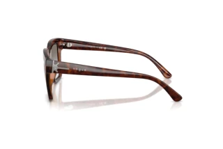 Zijaanzicht Vogue Eyewear VO5690S (23868G)