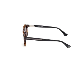 Zijaanzicht Web Eyewear WE0384 (55N)