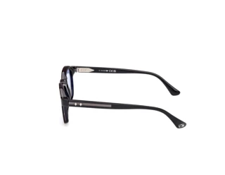 Zijaanzicht Web Eyewear WE0384 (56V)