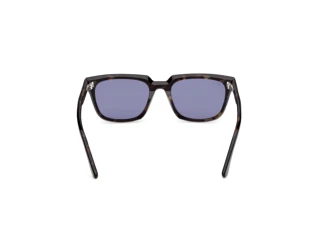 Achteraanzicht Web Eyewear WE0391 (05V)