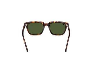 Achteraanzicht Web Eyewear WE0391 (52N)