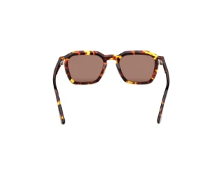 Achteraanzicht Web Eyewear WE0392 (55E)