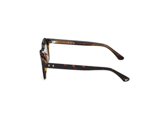 Zijaanzicht Web Eyewear WE0392 (56N)