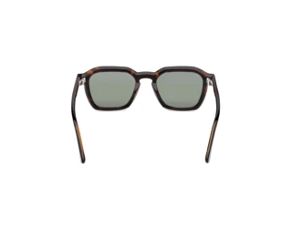 Achteraanzicht Web Eyewear WE0392 (56N)