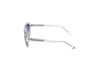 Zijaanzicht Web Eyewear WE0393 (26W)