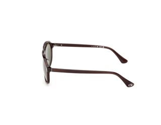 Zijaanzicht Web Eyewear WE0394 (56N)
