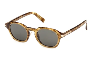 Zegna EZ0286 47N grünHellbraun/Gestreift