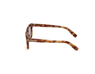 Zijaanzicht Zegna EZ0312 (55E)