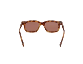 Achteraanzicht Zegna EZ0312 (55E)