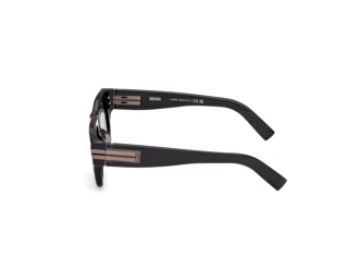 Zijaanzicht Zegna EZ0317 (05E)