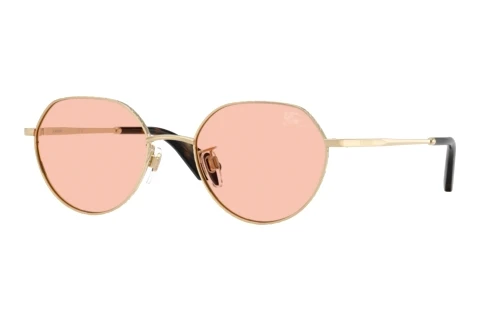 Zonnebril Burberry BE3173D 110984