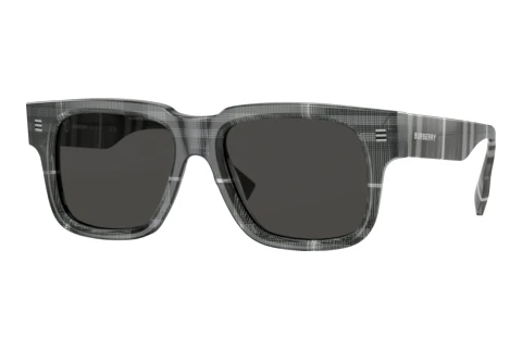 Zonnebril Burberry HAYDEN (BE4394 380487)