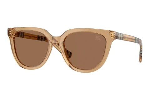 Zonnebril Burberry BE4469 416473