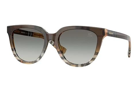Zonnebril Burberry BE4469 420211