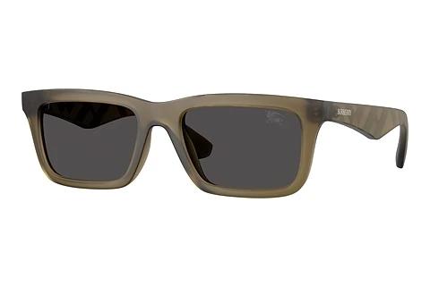 Zonnebril Burberry BE4475U 421287