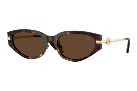Zonnebril Burberry BE4493D 300273