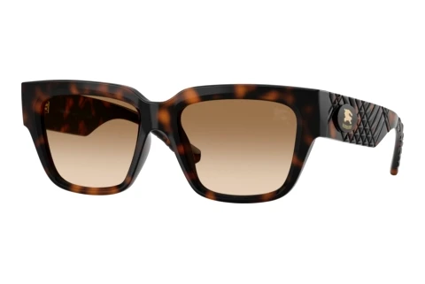 Zonnebril Burberry BE4506U 300289