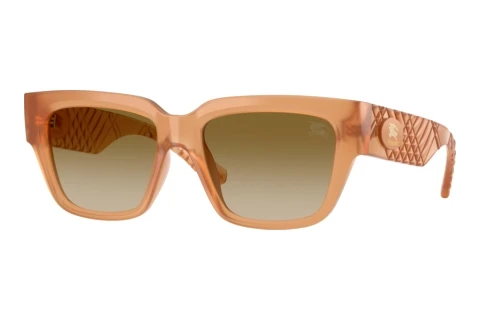Zonnebril Burberry BE4506U 426613