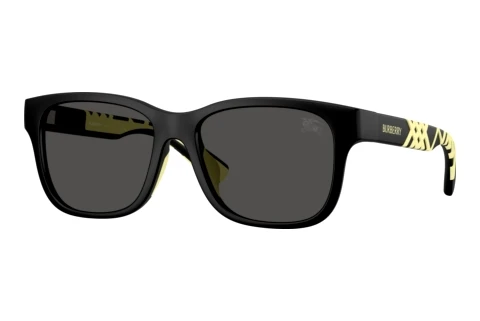 Zonnebril Burberry JB4007U 346487