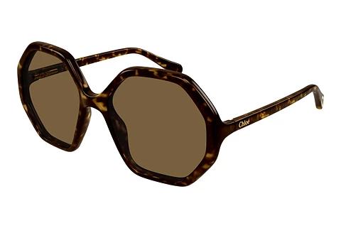Zonnebril Chloé CC0004S 008