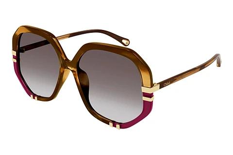 Zonnebril Chloé CH0105S 009