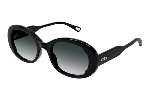 Zonnebril Chloé CH0197SA 001